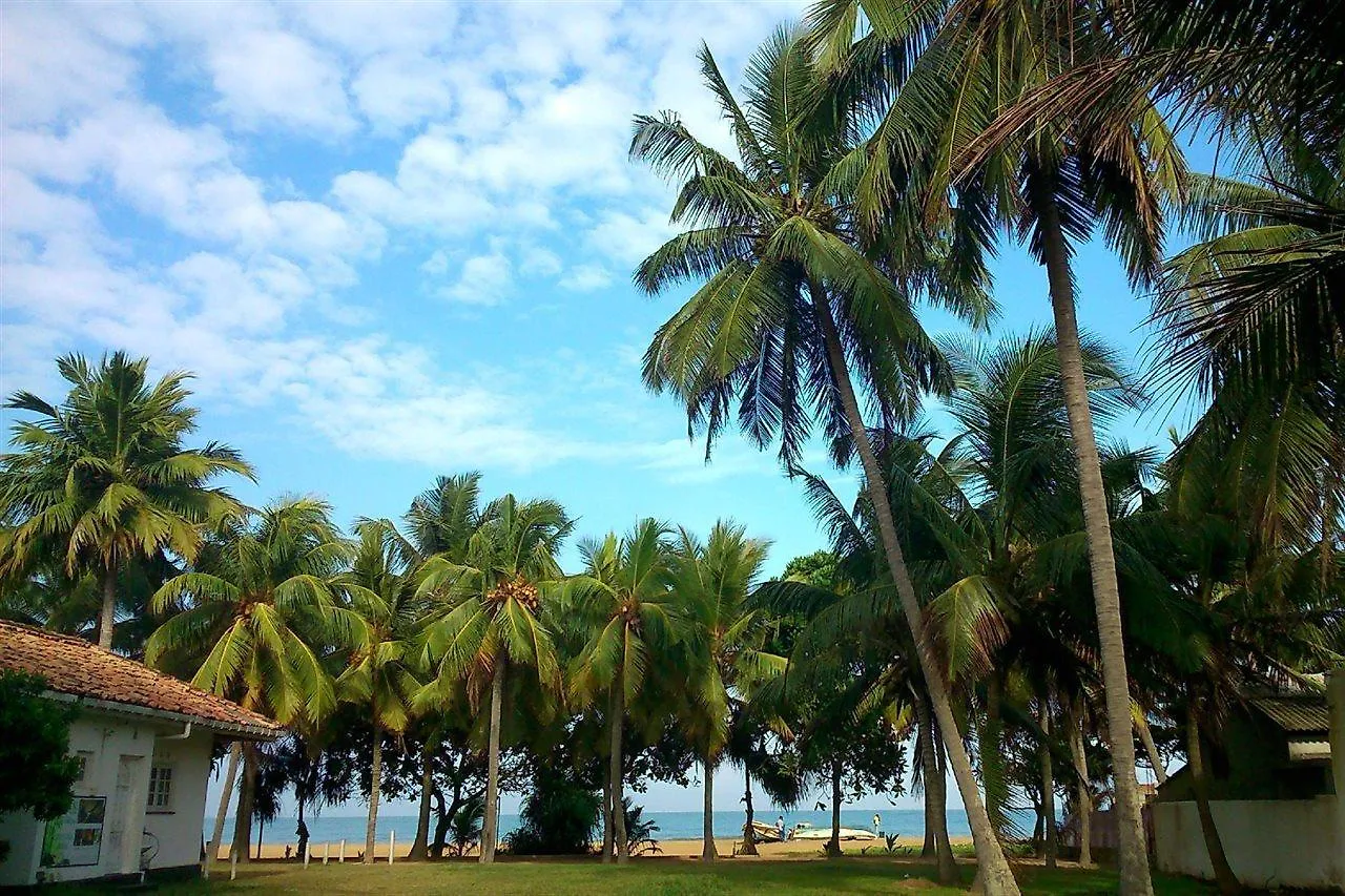 Dons Beach Hotel Negombo